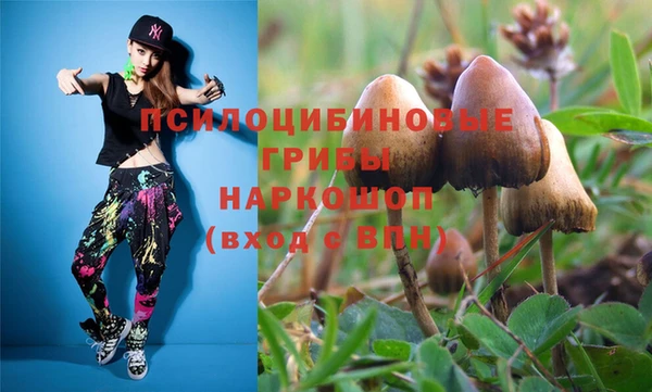 ПСИЛОЦИБИНОВЫЕ ГРИБЫ Аркадак