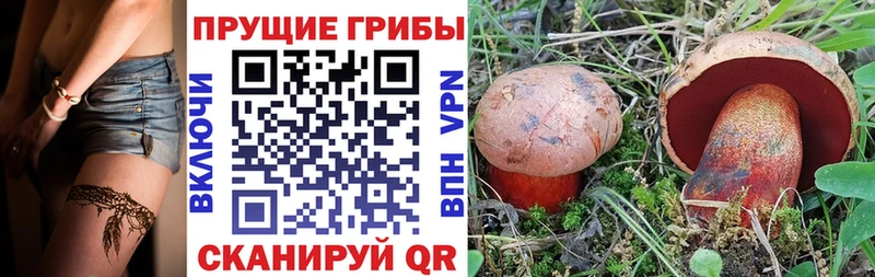 Псилоцибиновые грибы Psilocybine cubensis  купить наркотики цена  Кирово-Чепецк 